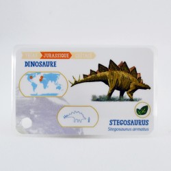 Carnet de fiches "Dinosaures" - Exemple - le Stegosaurus