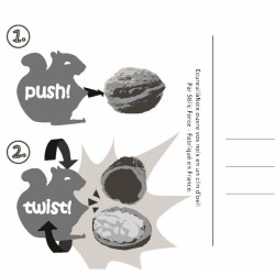 Ecureuil à noix - Le mode d'emploi hyper simple